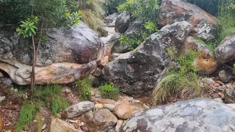 A Dry Mountain Stream Starts Flowing After Heavy Rain (No Sound) Stock Footage 167832375