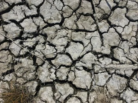 Dry mud background Stock Photos