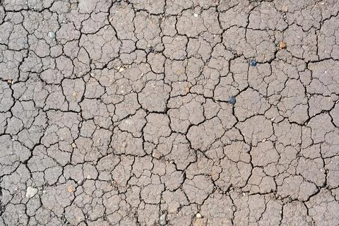 Dry mud cracked ground texture. Drought season background. Dry and cracked la Foto stock