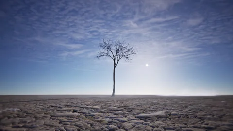 Dry Mud Dessert Stock Footage 314733299