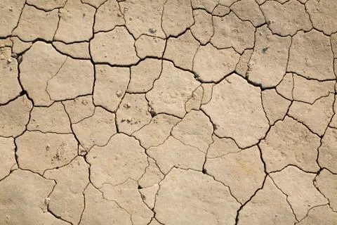 Dry mud field Stock Photos