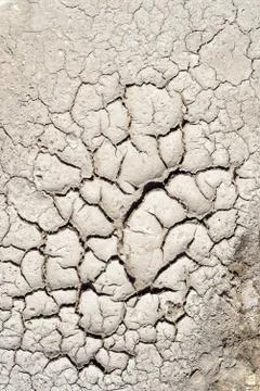 Dry mud texture of a dried riverbed due to excessive heat and drought conditi Stock Photos