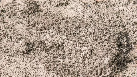 Dry Mud Texture with Rough Surface Marks Stock Photos