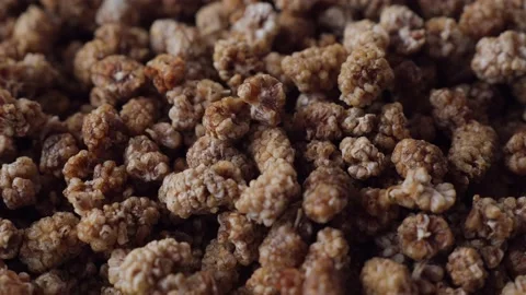 Dry mulberries rotation background. Stock Footage 231989397