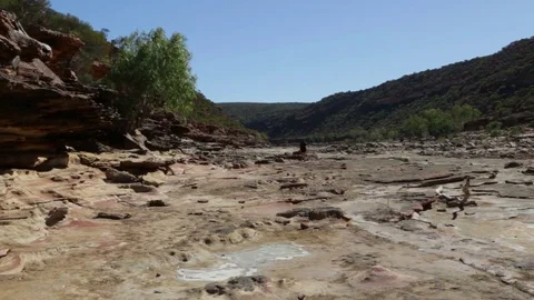 Dry Murchison river bed in Kalbarri NP Australia Stock Footage 70965727