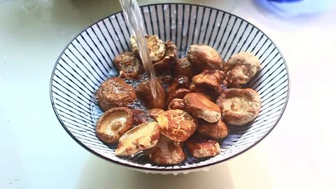 Dry mushroom soaking water Stock Footage 247363309