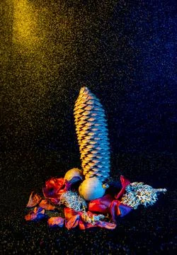 Dry Nature with Dramatic Lighting Stock Photos