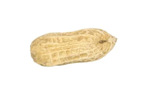 Dry nut with peel isolated Stock Photos