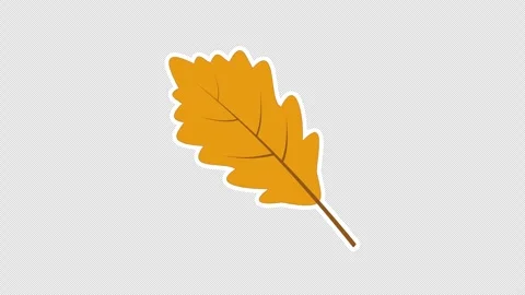 Dry oak leaf Vídeos de archivo 336479352