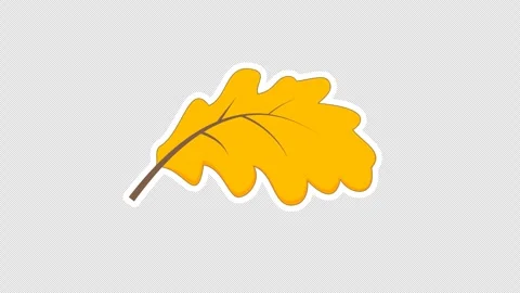 Dry oak leaf 스톡 동영상 336479514