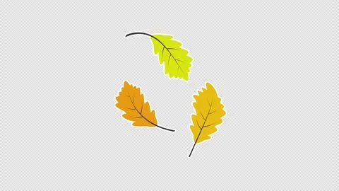 Dry oak leaves Vídeo Stock 336479348