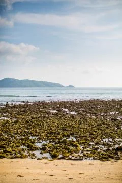 Dry ocean under cloudy sky Stock Photos