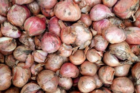 Dry onions Stock Photos