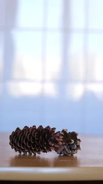 Dry opened pine cone lying on a wooden table on a light blurred background in Stock Photos