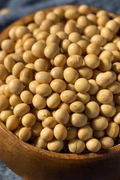 Dry Organic Soy Beans Stock Photos