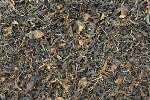 Dry Organic Tea Leaf Texture Background Stock Photos
