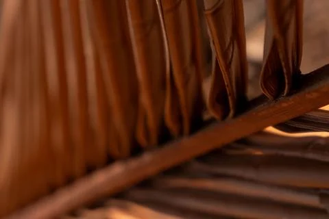 A dry palm leaf as a background 스톡 사진