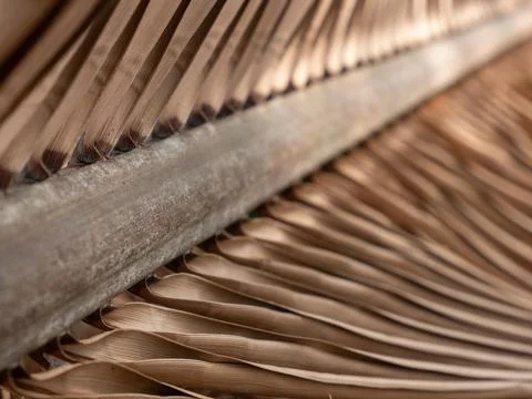 A dry palm leaf as a background 写真素材