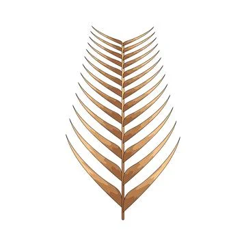 Dry palm leaf illustration Stock Illustration