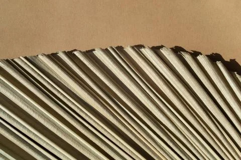 Dry Palm leaf macro texture on brown background detail closeup with copy space Stock Photos