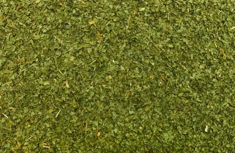 Dry parsley texture Stock Photos