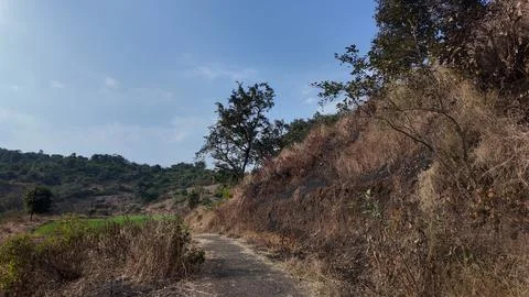 Dry path to green fields Stock Photos