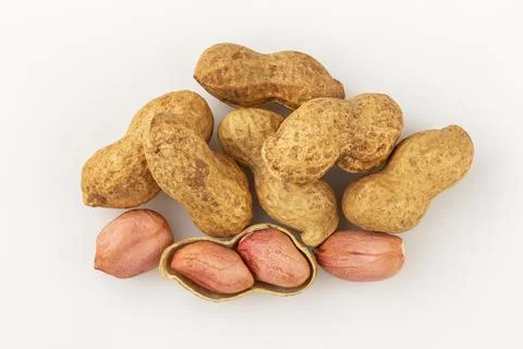 Dry peanut on the white background. Stock Photos