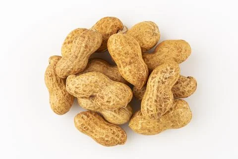 Dry peanut on the white background. Stock Photos