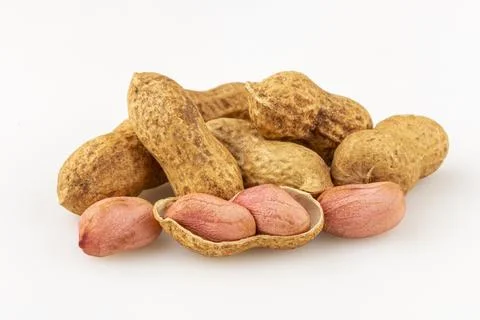 Dry peanut on the white background. Stock Photos