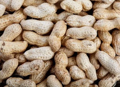 Dry peanuts Stock Photos
