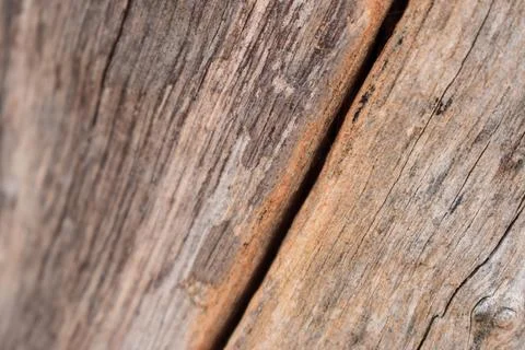 Dry Peeled Tree Bark Texture background Macro Stock Photography Image Foto stock