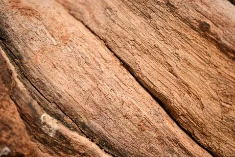 Dry Peeled Tree Bark Texture background Macro Stock Photography Image Foto stock