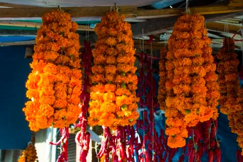 Dry pepper and other paces hanging in the outdoor market Foto stock