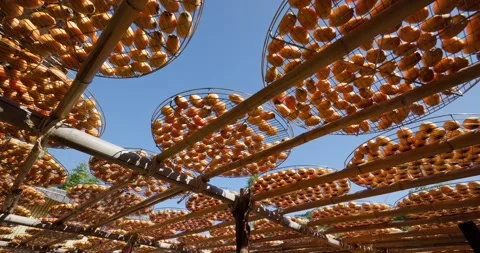 Dry Persimmon fruit production under sunshine in factory Stock Footage 234921032