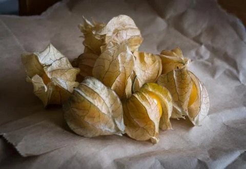 Dry physalis on paper Stock Photos