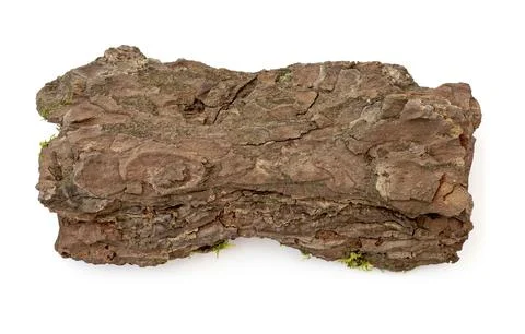 Dry pine bark isolated on white. Wooden bark with moss, top view Stock Photos