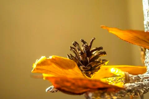 Dry pine cone and multi color leaves christmas tree natural decoration closeup. Foto stock