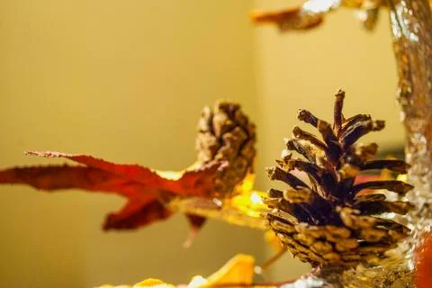 Dry pine cone and multi color leaves christmas tree natural decoration closeup. 스톡 사진