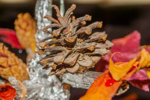 Dry pine cone and multi color leaves christmas tree natural decoration closeup. Stock Photos