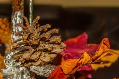 Dry pine cone and multi color leaves christmas tree natural decoration closeup. Stock Photos