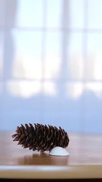 A dry pine cone and a small white seashell lie on a wooden table against a light Stock Photos