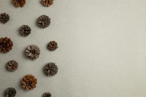 Dry pine cones on gray background. flat lay, top view, copy space 스톡 사진