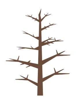 Dry pine tree plant isolated icon Stock Illustration