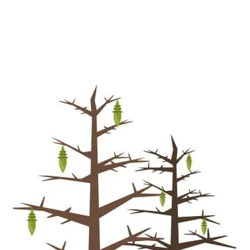 Dry pines trees plants forest scene Stock Illustration
