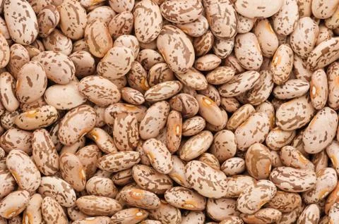 Dry Pinto Beans Stock Photos