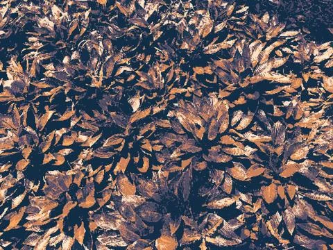Dry plants pixel art vector illustration Stock Illustration