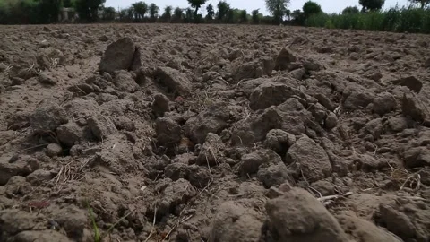 Dry plot of land, not good for agriculture. Stock Footage 165964618