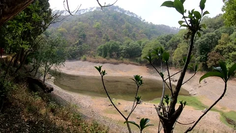 Dry pond 스톡 동영상 191397455