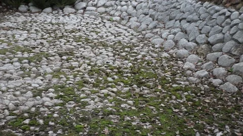 Dry pond Stock Footage 196512745