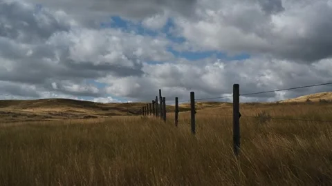 Dry prairie grass beside a barbed wire fence blowing in strong wind under a Stock Footage 333074890